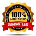 100-satisfaction-guaranteed-gold-label-with-red-vector-1156881
